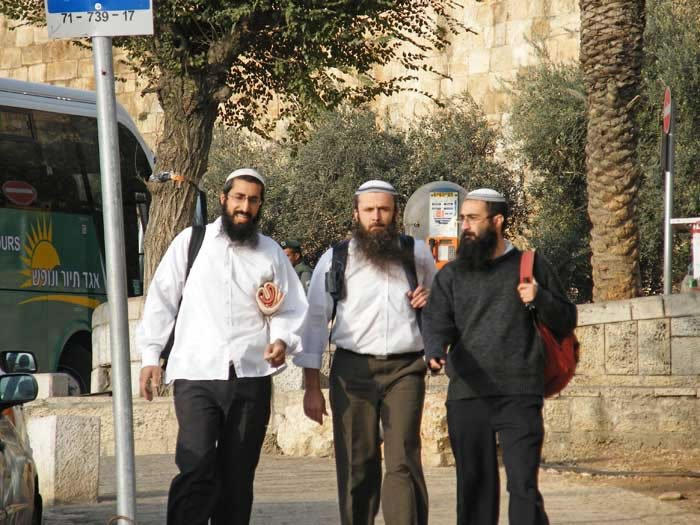 жители Израиля - Израиль 2008