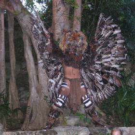 Индеец в ритуальном костюме - Мексика 2008