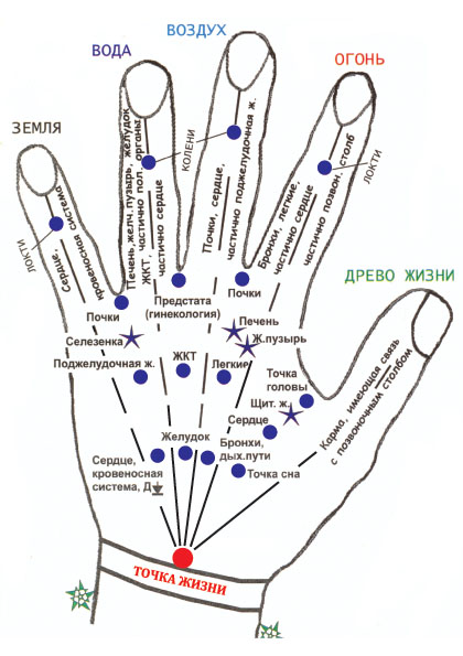 Таблица рука человека как инструмент диагностики и лечения.