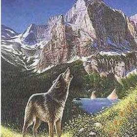 найдите 4 волка - Обман зрения