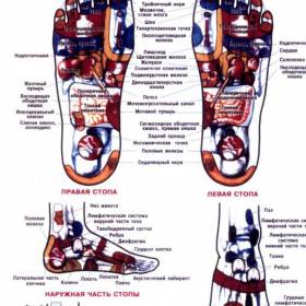 Точки органов на ногах - Биологически активные точки