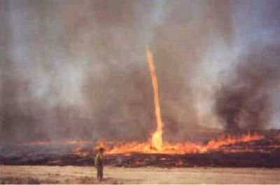 Огненные вихри.    частенько образуются при пожарах - могут возникать и над горящими стогами сена. - 20 самых необычных природных явлений