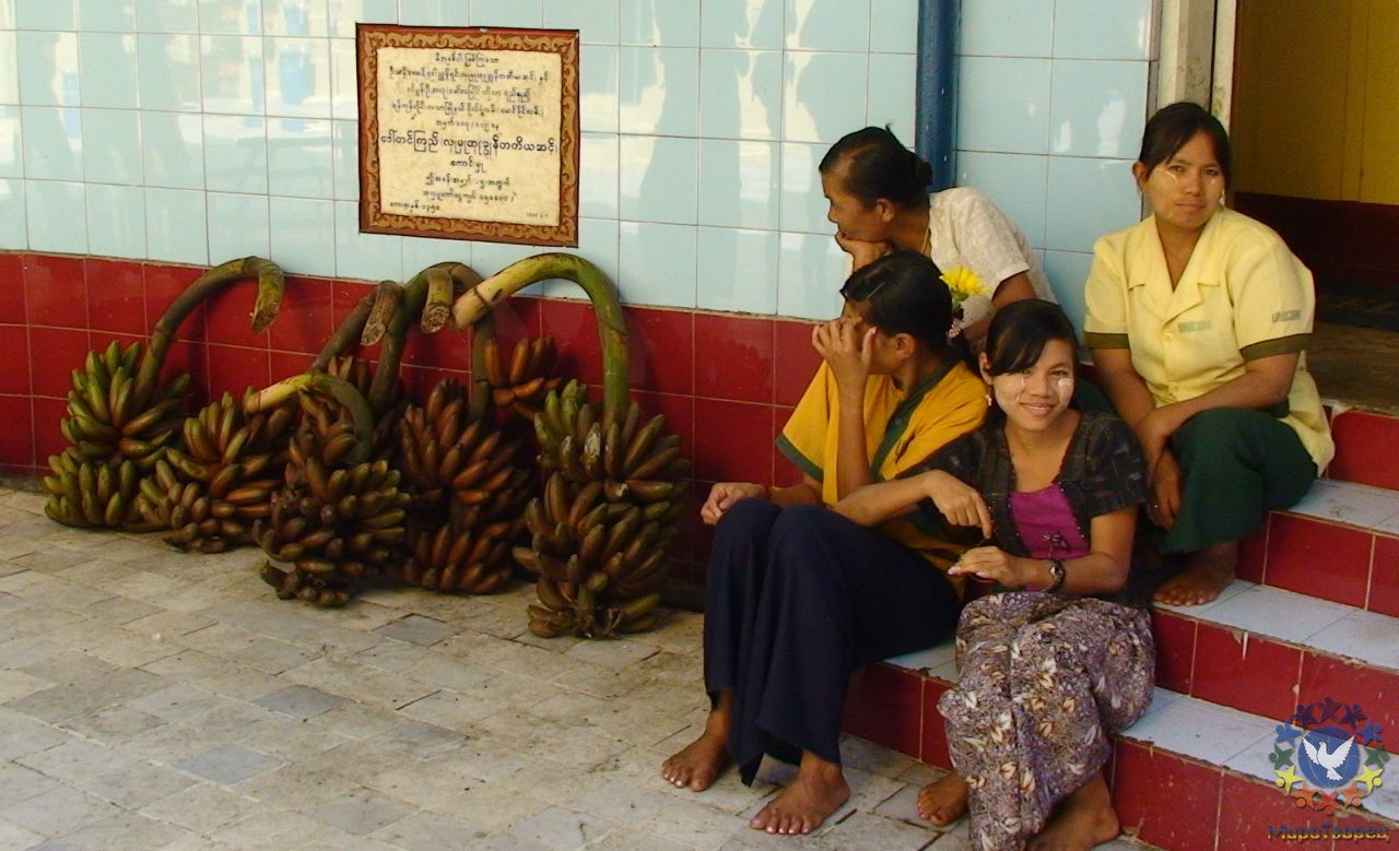 40.	Вот так выглядят настоящие бирманские бананы и бирманские девушки - Бирма 2010, Зубов Михаил, часть 4