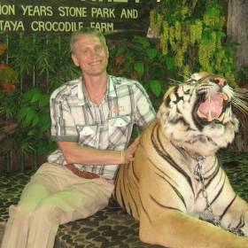 По китайскому календарю хозяин нового  2010 года – тигр.  Многим из нас удалось потрепать его по холке. - Тайланд 2010 отдых МироТворцев, часть 3
