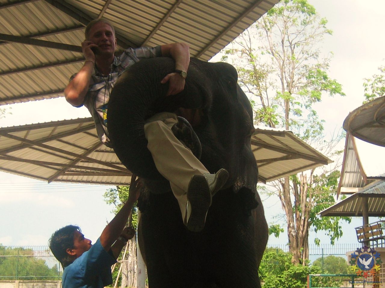 Сеть не ловит телефон?           Позвонить поможет слон! - Тайланд 2010 отдых МироТворцев, часть 3