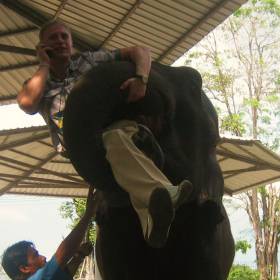 Сеть не ловит телефон?           Позвонить поможет слон! - Тайланд 2010 отдых МироТворцев, часть 3