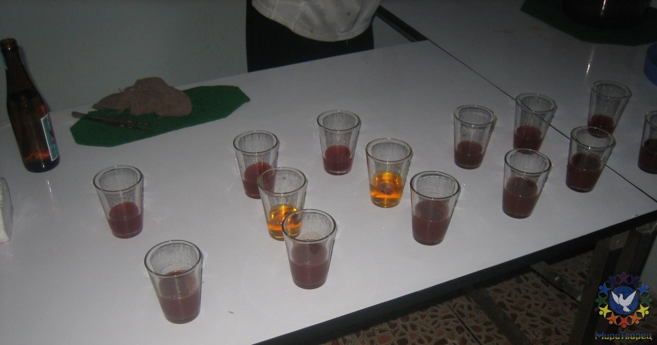В ближнем ряду стаканчики с кровью кобры. Чтобы кровь не свернулась, её разбавляют алкоголем. В дальнем ряду напиток, чтобы запить. В стаканчиках с жёлтым напитком поделено сердце кобры (только для мужчин) - Тайланд 2010 отдых МироТворцев, часть 3
