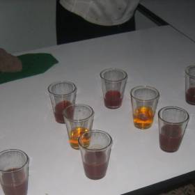 В ближнем ряду стаканчики с кровью кобры. Чтобы кровь не свернулась, её разбавляют алкоголем. В дальнем ряду напиток, чтобы запить. В стаканчиках с жёлтым напитком поделено сердце кобры (только для мужчин) - Тайланд 2010 отдых МироТворцев, часть 3
