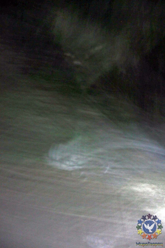 По пути обратно с городища, был случайно сделан кадр в траву, и вот доказательство присутствия инопланетян на ночном  городище - Фоторепортаж поездки: Аркаим. Май 2010г.