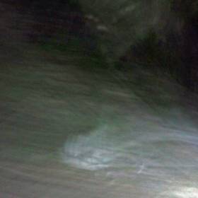 По пути обратно с городища, был случайно сделан кадр в траву, и вот доказательство присутствия инопланетян на ночном  городище - Фоторепортаж поездки: Аркаим. Май 2010г.