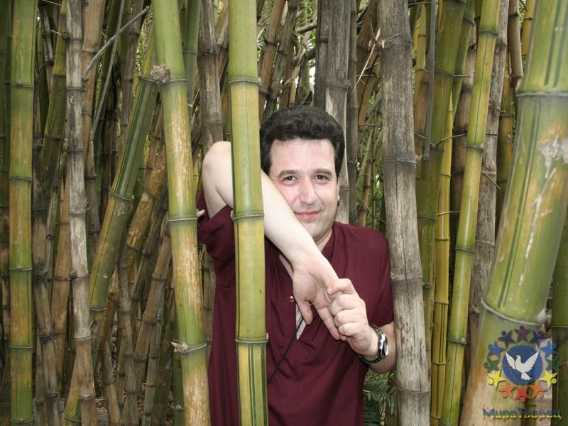 Бамбук в парке ОШО центра - Индия 2010, Игорь Устабаши,