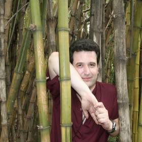 Бамбук в парке ОШО центра - Индия 2010, Игорь Устабаши,