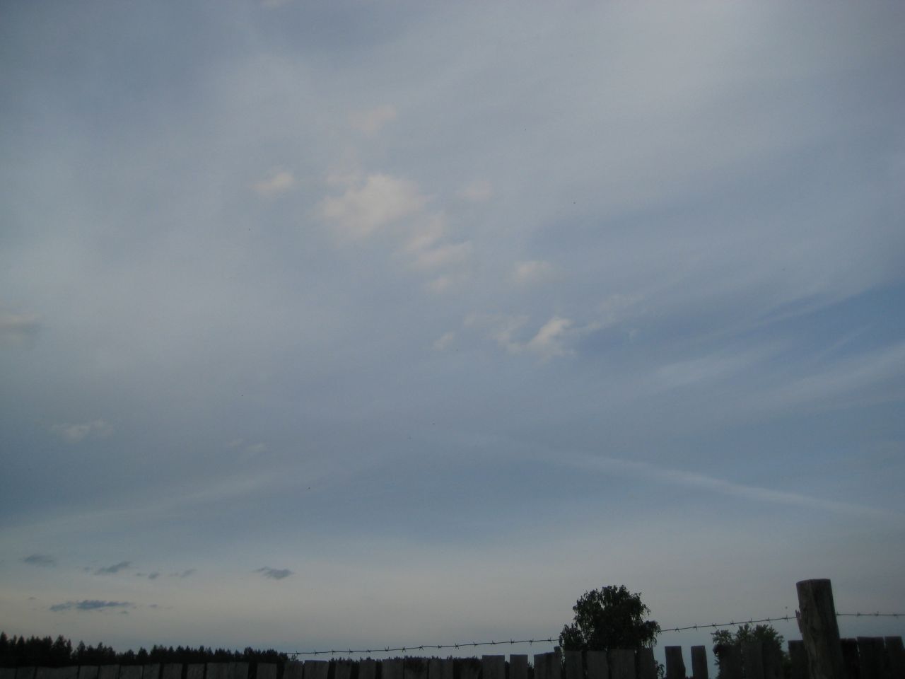 Небо вторило нам в творческом процессе - Семинар на природе Чернавиной Галины, июнь 2010г.