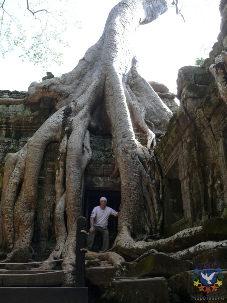 Храм Ta Prohm - это единственный нетронутый археологами и реставраторами храм, весь окутанный джунглями. - Камбоджа декабрь 2010г.