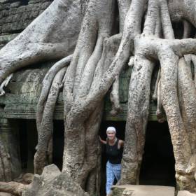 Храм был построен в XII веке и имеет сказочный вид.  В отличие от других храмов Ангкора, Та Пром не стали расчищать от джунглей. Он весь переплетен гигантскими корнями деревьев. Даже на крышах храмов растут огромные стволы. Крыши и стены прогибаются, но всё же стоят. - Камбоджа декабрь 2010г.