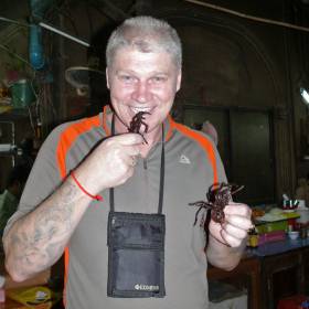 В Камбодже знатным деликатесом, почти как черная икра на Западе, считается большой паук «а-пинг» - разновидность ядовитого тарантула. Прежде, чем приступить к приготовлению, паука нужно найти его, выманить специальным музыкальным инструментом из норы глубиной 5 м,  и вырвать ядовитые клыки. Затем членистоногое медленно поджаривают на открытом огне (обязательно на дровах) с добавлением большого количества соли, сахара и чеснока. Когда черный хитиновый панцирь приобретет красновато-коричневый оттенок, паук с хрустящей корочкой и очень нежный внутри готов к употреблению.     Паук содержит высококачественный белок и почти лишен жиров. Медики подтверждают, что он помогает снять боли в спине и излечивает от некоторых болезней дыхательной системы. Кхмеры считают его универсальным лекарством от всех болезней. Мы попробовали – по вкусу напоминает жаренную сладковатую курочку :) - Камбоджа декабрь 2010г.