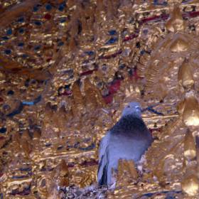 Вспомнили о МироТворцах – тут же голубь в позолоченных барельефах Храма. - Камбоджа декабрь 2010г.