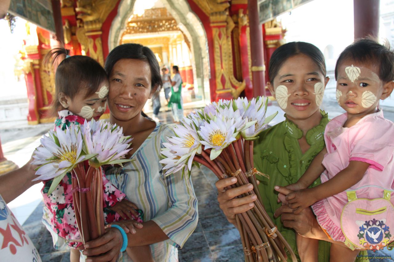 Лотосы в храме с 730ю белыми пагодами - Мьянма 2011 (виды, природа, лица) I часть