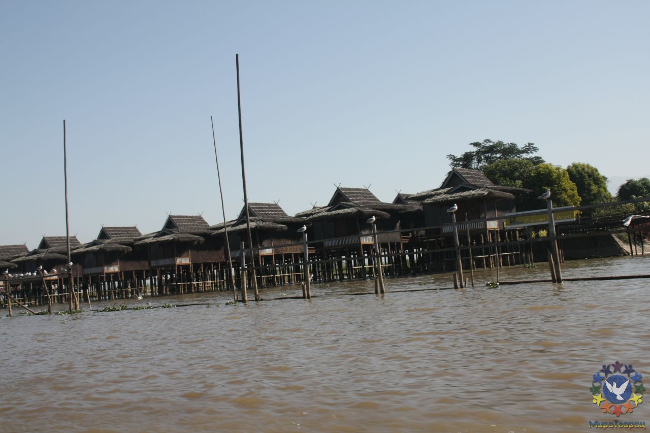 Озеро Инле - Мьянма 2011 (виды, природа, лица) I часть