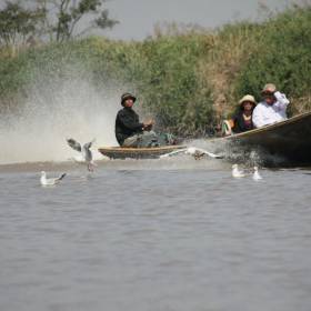 туристов много на озере, правда встречаются они друг с другом только  проезжая мисона таких вот лодках - Мьянма 2011 (виды, природа, лица) I часть