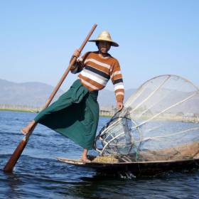 Жители Инле называют себя «Инта», что значит «сыновья озера». Их основное занятие - рыболовство. Они забивают в дно озера сваи и строят на них бамбуковые хижины с тростниковыми крышами, а плавают по озеру на быстроходных лодках-сампанах. Инта не сидят на веслах - они стоят на носу сампана и, обвив ногой весло, с удивительной ловкостью им орудуют. «Ножная гребля» удобна тем, что одна рука остается свободной, можно на ходу управляться с рыбацкими снастями. - МЬЯНМА, февраль 2011