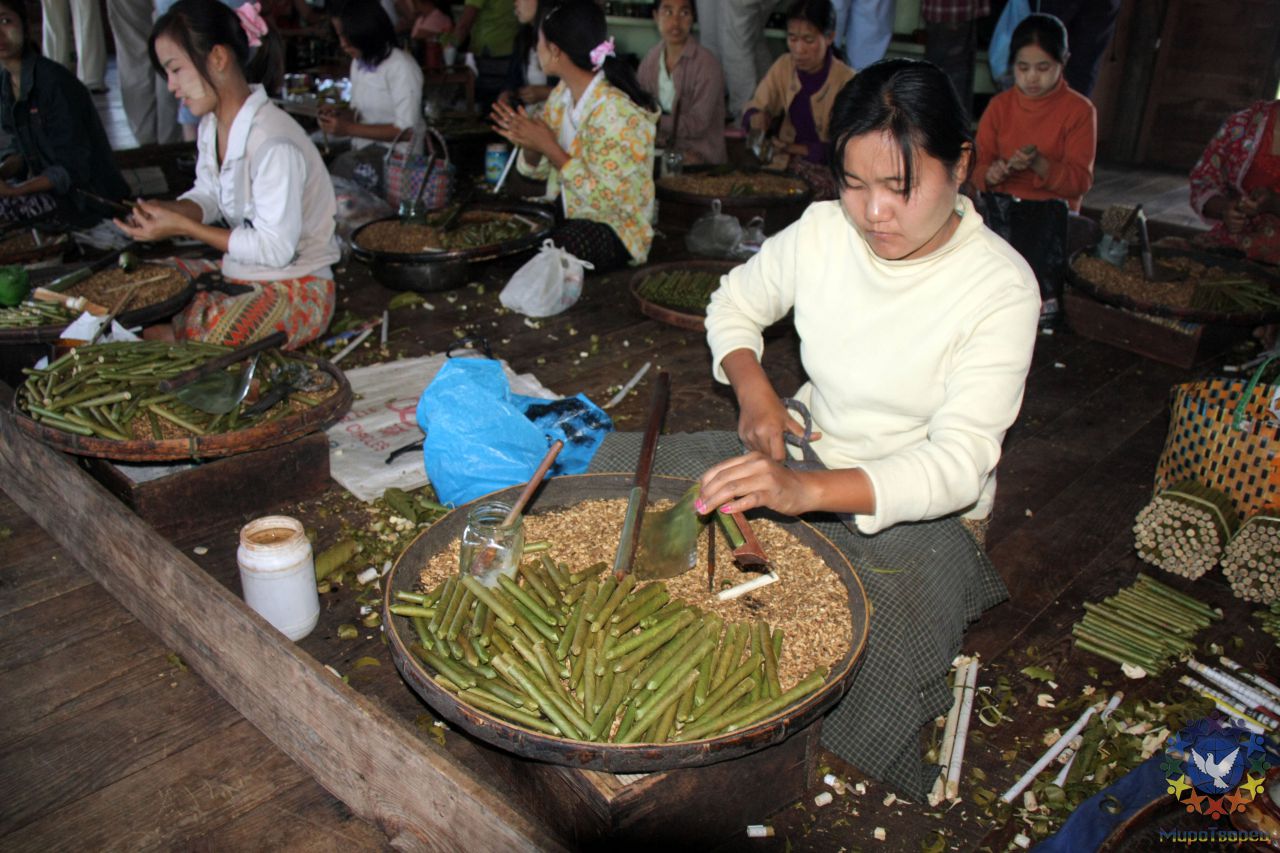 Пока мужчины-инта ловят рыбу или работают на огородах, женщины занимаются ткачеством. Шали, скатерти, платки из Инле пользуются успехом не только в Бирме, но и во всей Юго-Восточной Азии. Пряжей служат волокна из стебля лотоса. В мастерских все сохранилось таким же, как прежде - во времена, когда за станками работали матери нынешних ткачих, их бабушки и прабабушки. - МЬЯНМА, февраль 2011