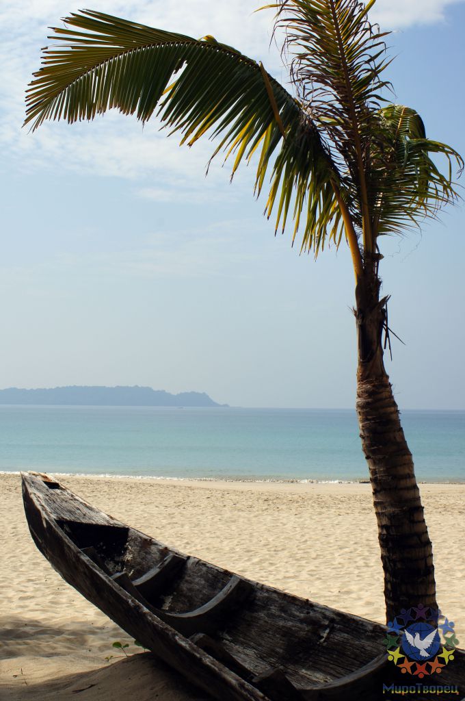 Белый песок. Чистейший залив океана. Кокосовые пальмы на пляже!  Нгапали находится в Аракане на побережье Бенгальского залива недалеко от Тандве (Сандовэй). Нгапали - это протяженная полоса ослепительно белых песчаных пляжей и нетронутой природы вокруг. - МЬЯНМА, февраль 2011
