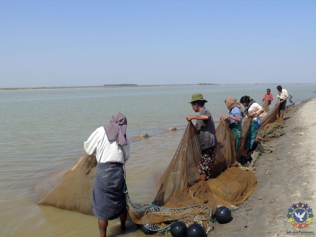 на р.Иравади в Багане, улов весьма скромный- за весь день рабского труда один килограммовый сомик и килограмма 3 мелочи, типа кильки. - Мьянма 2011 (виды, природа, лица) II часть