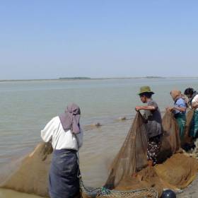 на р.Иравади в Багане, улов весьма скромный- за весь день рабского труда один килограммовый сомик и килограмма 3 мелочи, типа кильки. - Мьянма 2011 (виды, природа, лица) II часть
