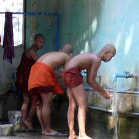 в мужском монастыре... обычная жизнь монахов, которую они не скрывают от глаз туристов - Мьянма 2011 (виды, природа, лица) II часть