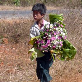 Мьянма 2011 (виды, природа, лица) II часть