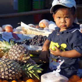 вот как! витамины и дети - что может быть лучше! - Мьянма 2011 (виды, природа, лица) II часть