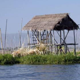 на озере Инле, плавучие огороды - Мьянма 2011 (виды, природа, лица) II часть