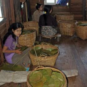 табачная мастерская - запах ну оочень специфичный - не многие это могут выдержать - Мьянма 2011 (виды, природа, лица) II часть