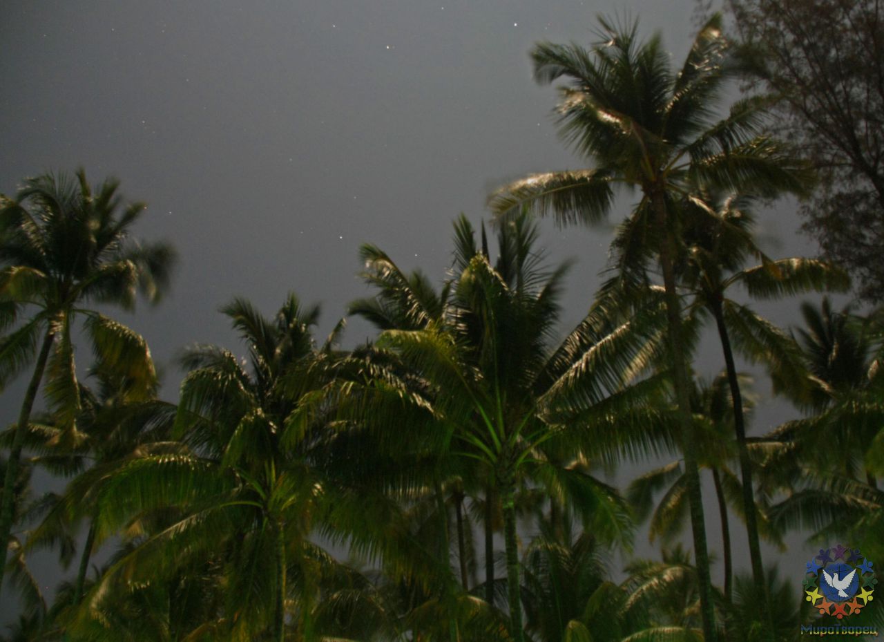 Ночи очень яркие!!! Завораживающий прилив.... Энергетика океана - мощная и глубокая.... - Мьянма 2011 (виды, природа, лица) II часть