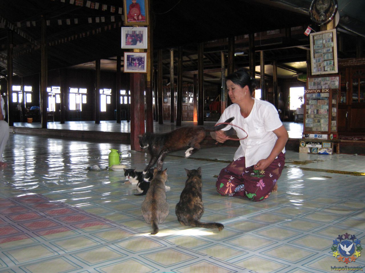 В храме кошек - Мьянма 2011 (виды, природа, лица) III часть