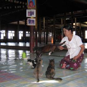 Мьянма 2011 (виды, природа, лица) III часть