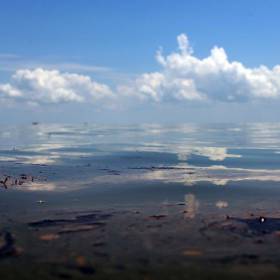 Глобальная экологическая катастрофа в мексиканском заливе