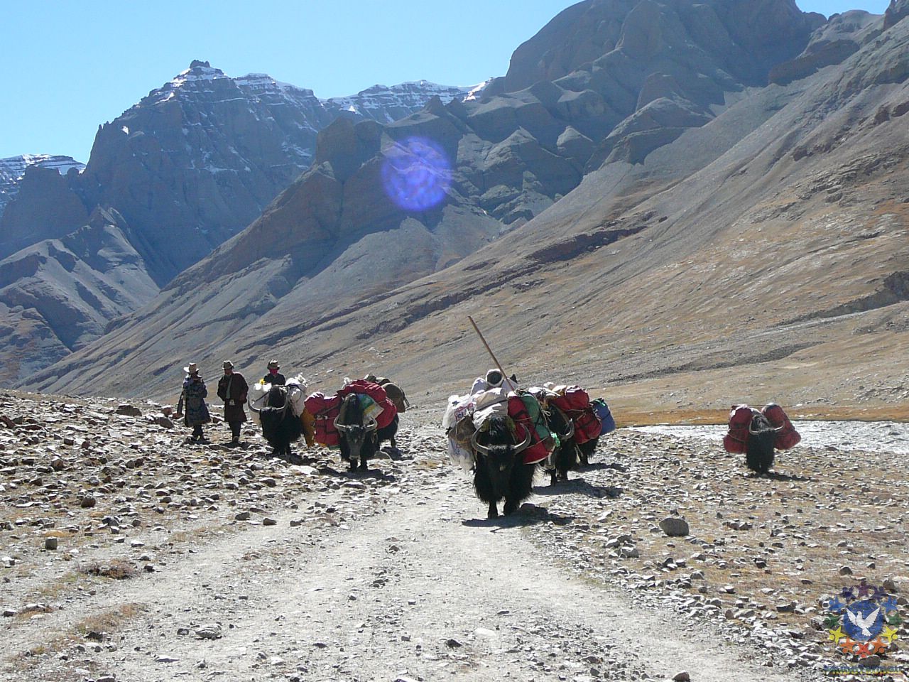 Караван яков везет наши вещи - Тибет 2006. Фотовоспоминание 5 лет спустя.