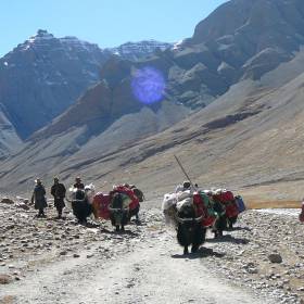 Караван яков везет наши вещи - Тибет 2006. Фотовоспоминание 5 лет спустя.
