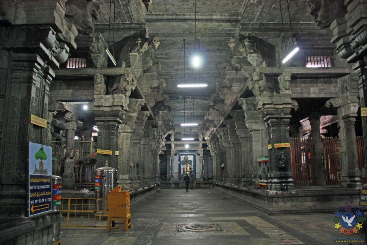 Коридоры храма - группа в Индии,  ноябрь 2011, часть 1 (начало тура, стихии Воздуха и Земли)