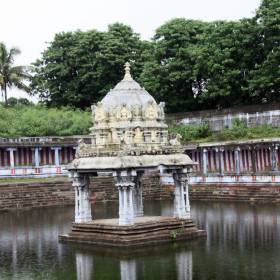 В каждом храме есть водоем, с уже сооруженным нейтрализатором посередине. - группа в Индии,  ноябрь 2011, часть 1 (начало тура, стихии Воздуха и Земли)