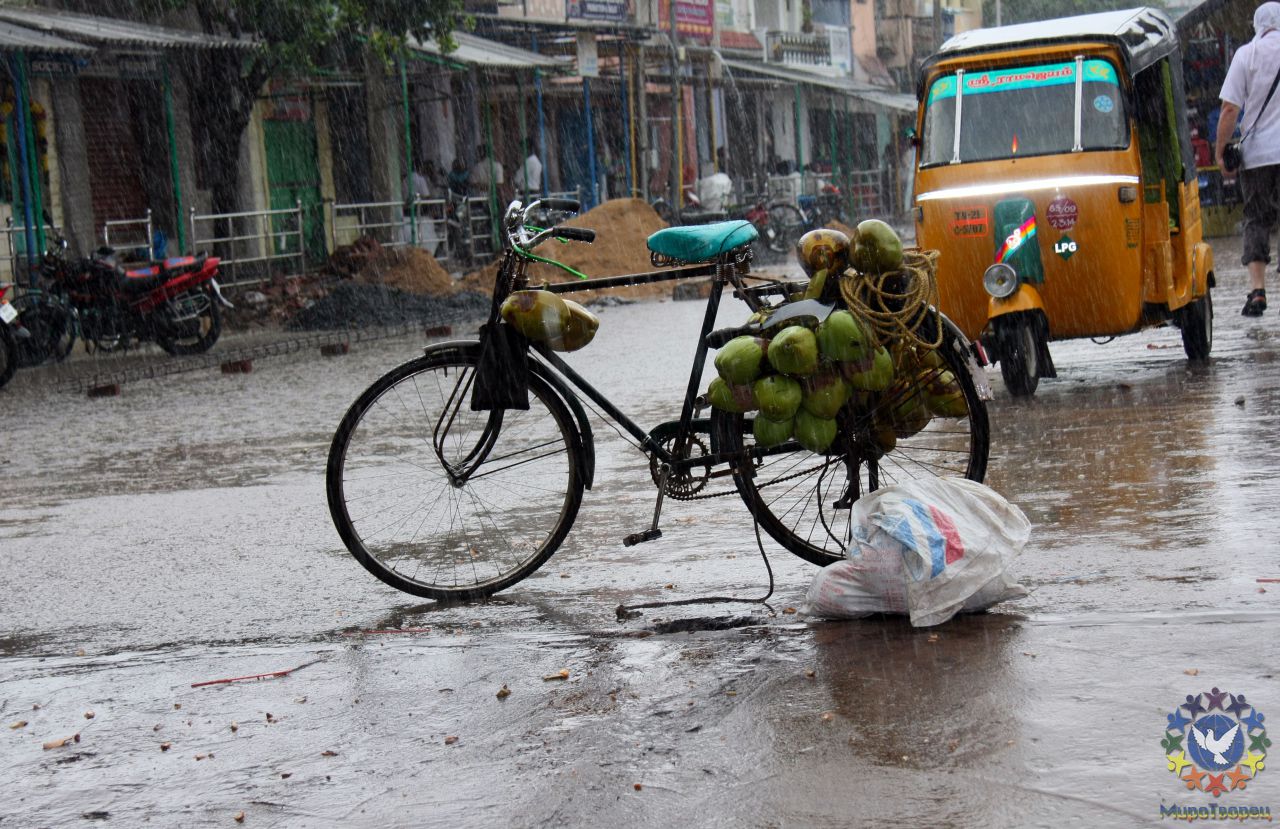 Индусы во время дождя не напрягаются  - всё бросают как есть и уходят под крышу - мирно там пережидают стихию... - группа в Индии,  ноябрь 2011, часть 1 (начало тура, стихии Воздуха и Земли)