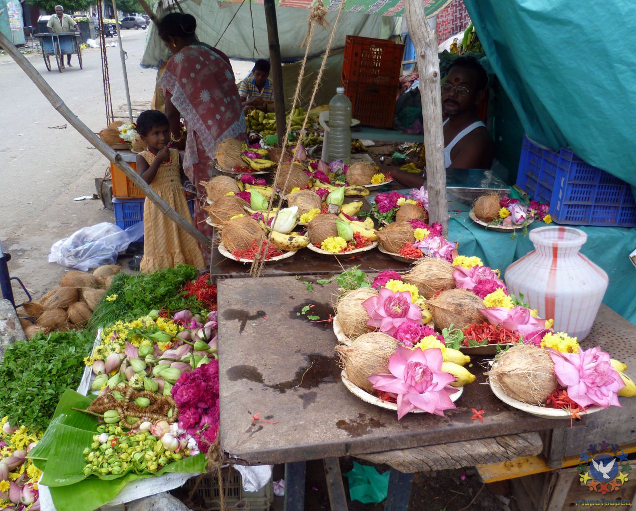 Множественные рыночки и базары вокруг храмов пестрят готовыми подношениями святым - группа в Индии, ноябрь 2011, часть 3 (стихия Воды)