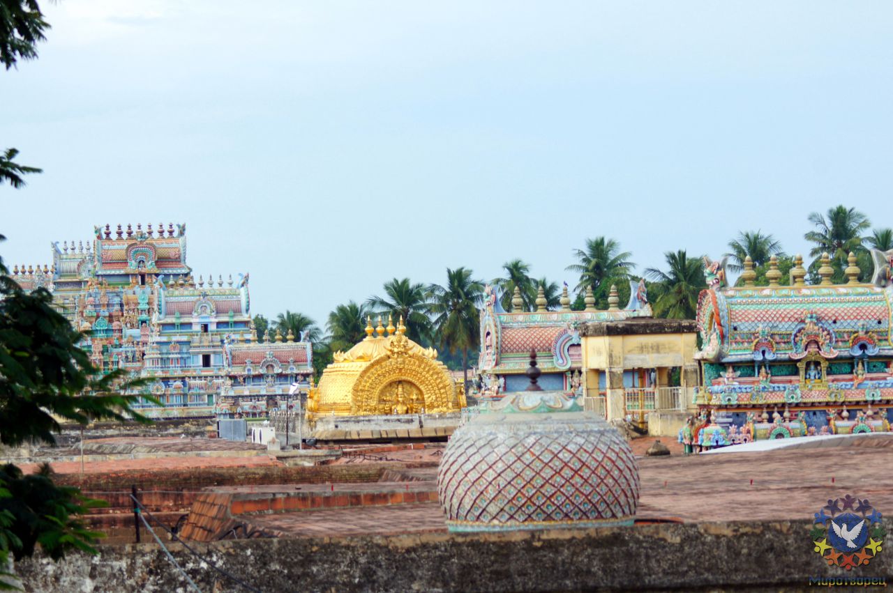 Обзорная площадка - открывается красивый вид на золотой Пранава-виман – центральный купол – и разные гопурамы. - группа в Индии, ноябрь 2011, часть 3 (стихия Воды)