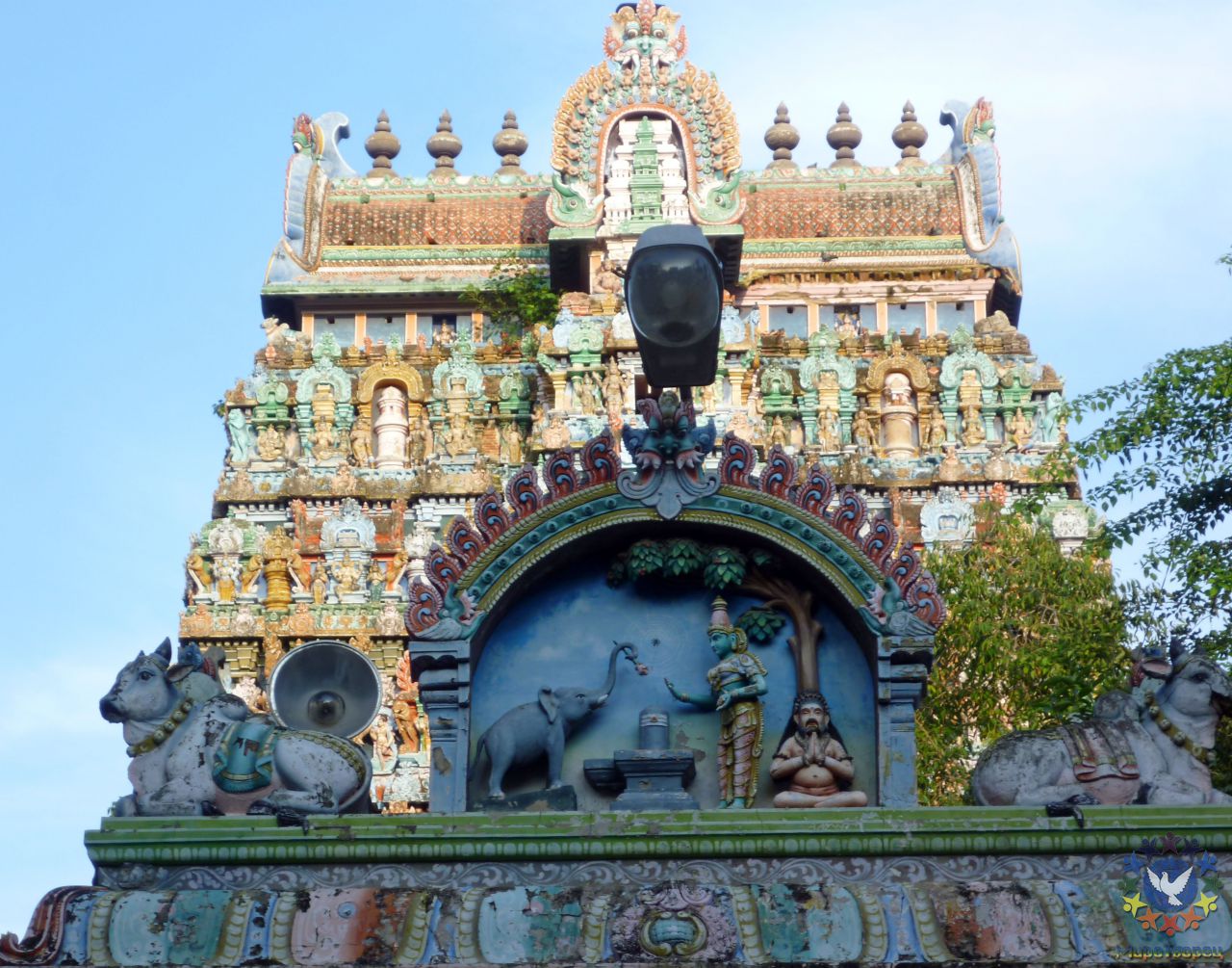 Древний храм Шри Джамбукешвара считается одним из главных храмов Шивы в штате Тамил Наду; здесь поклоняются Шиве в виде Джамбукешвары, Шивы элемента воды - группа в Индии, ноябрь 2011, часть 3 (стихия Воды)