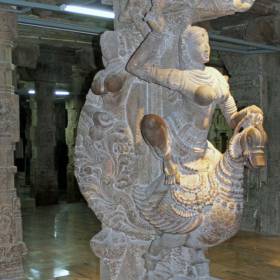 В Индии некоторые боги изображаются сидящими на павлинах, например, индийский бог войны Картикейя. Павлин нередко делается олицетворением бесконечного разнообразия, веселого Духа, с которым Бог творил эту землю, развлекаясь как хотел. В индийской мифологии, когда Кришна и Радха — две ипостаси бога Вишну — танцуют и забавляются в вечной радости любви, на них смотрят павлины. - группа в Индии, ноябрь 2011, часть 5 (Объединение)