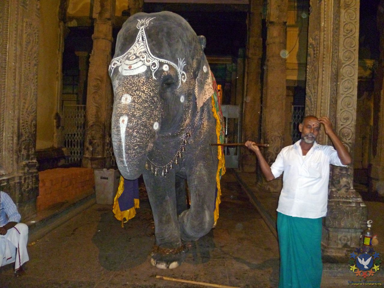 В храме есть также и храмовый слон - группа в Индии, ноябрь 2011, часть 5 (Объединение)