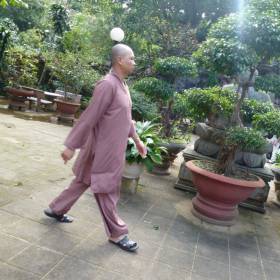 На горе расположен моностырь, монахи  ухаживают за садом. Монах. - Мьянма, Вьетнам. Декабрь 2011-январь 2012.