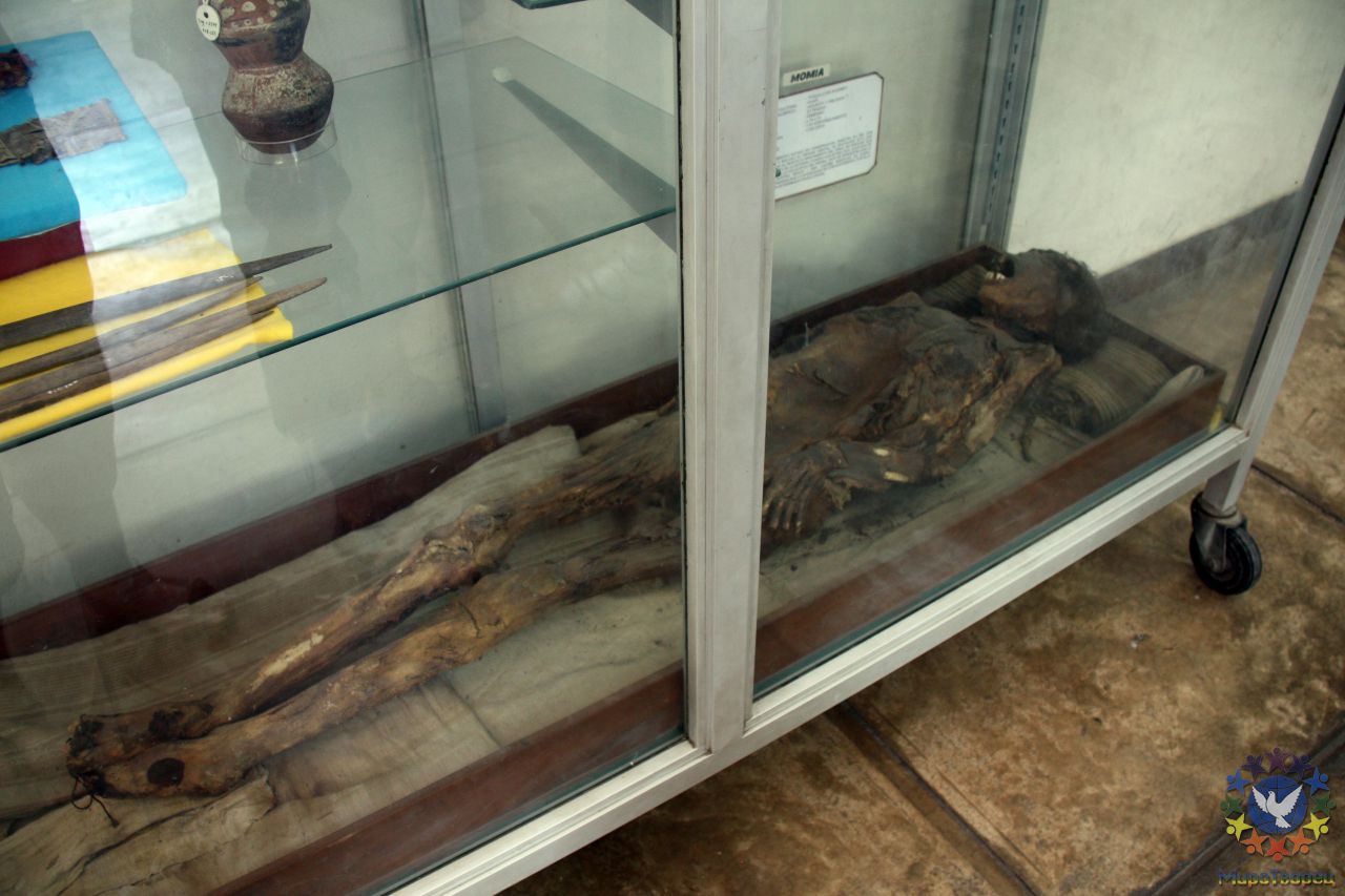 Молодая девушка, принесенная в жертву, мумифицировалась за счет того, что была похоронена заживо в пустыне, покрыта татуировками - Перу, февраль 2012, г.Лима